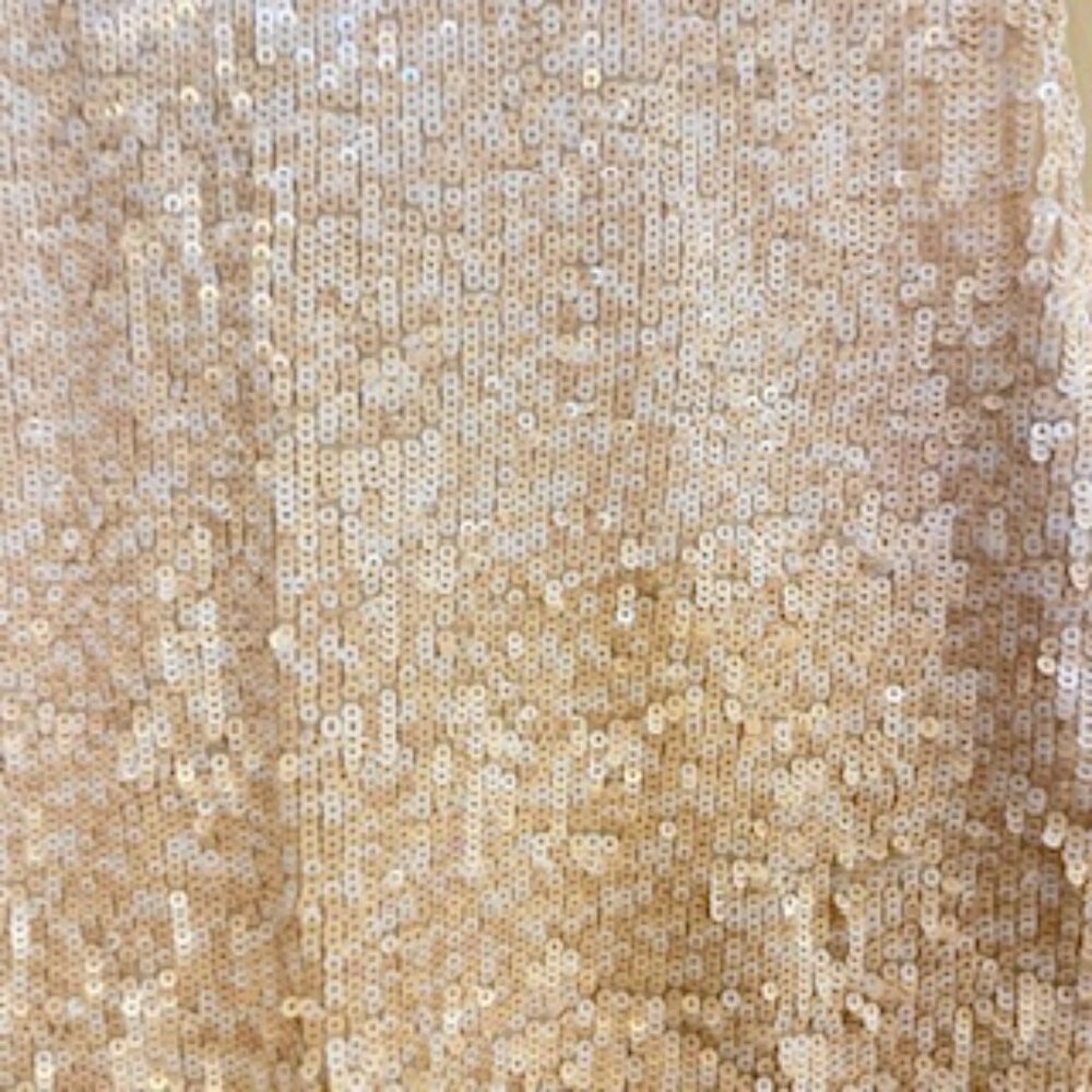 JCrew Sequined Tank - Picture 3 of 4